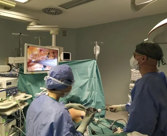Minimally invasive abdominal wall surgery through small incisions